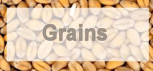 GRAINS