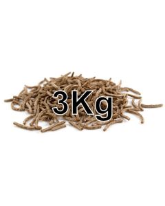 BRAN STICKS 3KG