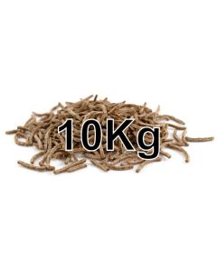 BRAN STICKS 10KG