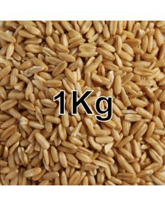 OAT GROATS KG