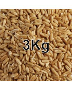 OAT GROATS 3KG