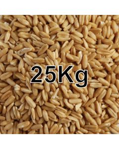 OAT GROATS 25KG