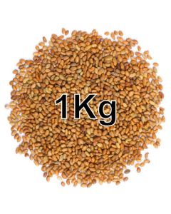 ALFALFA SEEDS KG