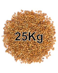 ALFALFA SEEDS 25KG