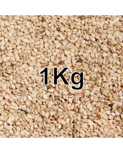 SESAME SEEDS NATURAL KG