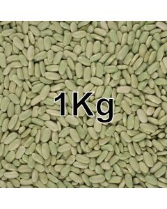 FLAGEOLET BEANS  1KG