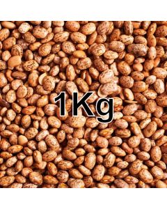 PINTO BEANS KG