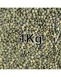 LENTILS DARK SPECKLED (PUY TYPE) KG