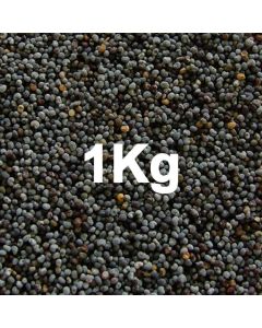 POPPY SEED BLUE  1KG