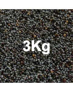 POPPY SEED BLUE  3KG