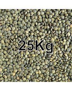 PUY LENTILS 25KG