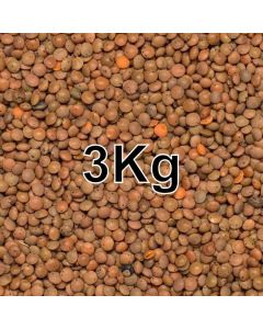 LENTILS BROWN 3KG