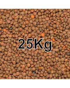 BROWN LENTILS 25KG