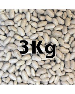 CANNELLINI BEANS ORG. 3KG