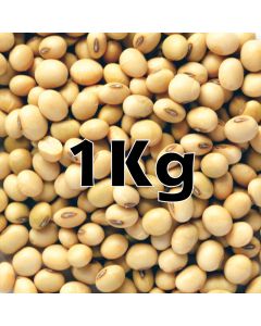 SOYA BEANS ORG  KG