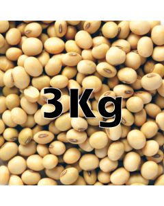 SOYA BEANS ORG  3KG