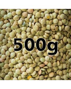 GREEN LENTILS ORG.500G