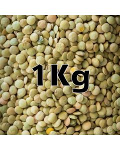 GREEN LENTILS ORG. 1KG