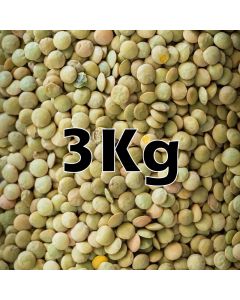 GREEN LENTILS ORG. 3KG