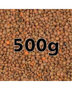 BROWN LENTILS ORG. 500G