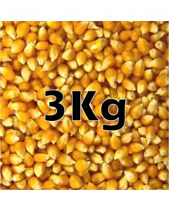 POPCORN ORG.3KG