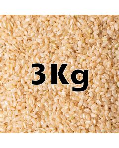 SHORT BROWN RICE ORG. 3KG