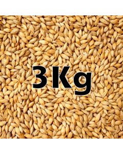 WHEAT GRAIN 3KG ORG.