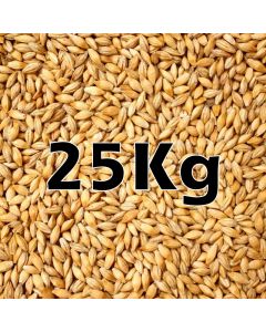 WHEAT GRAIN 25KG ORG.