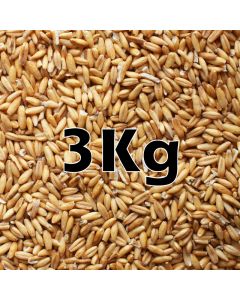 OAT GROATS ORG 3KG