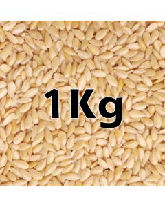 SESAME SEEDS ORG 1KG