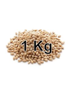 BARLEY PEARL 1KG