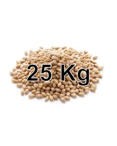 BARLEY PEARL 25KG