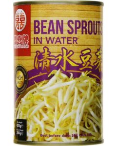 DH BEAN SPROUTS IN WATER 12 X 425G