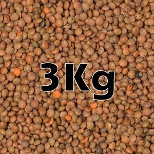 BROWN LENTILS ORG. 3KG