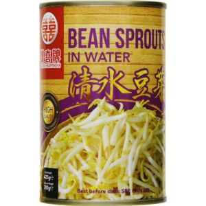 DH BEAN SPROUTS IN WATER 12 X 425G