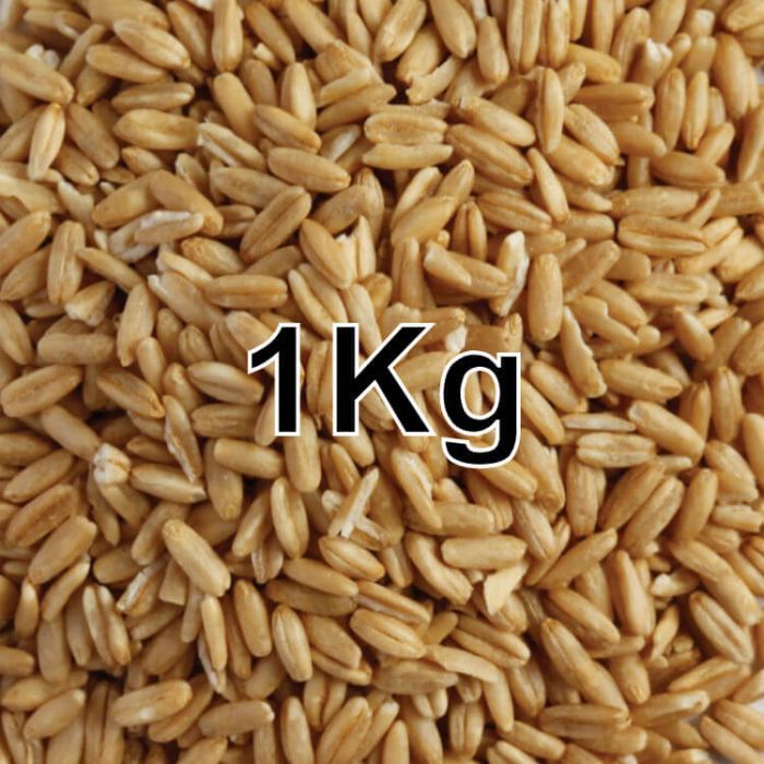 OAT GROATS KG