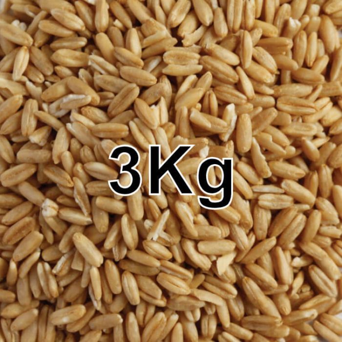 OAT GROATS 3KG