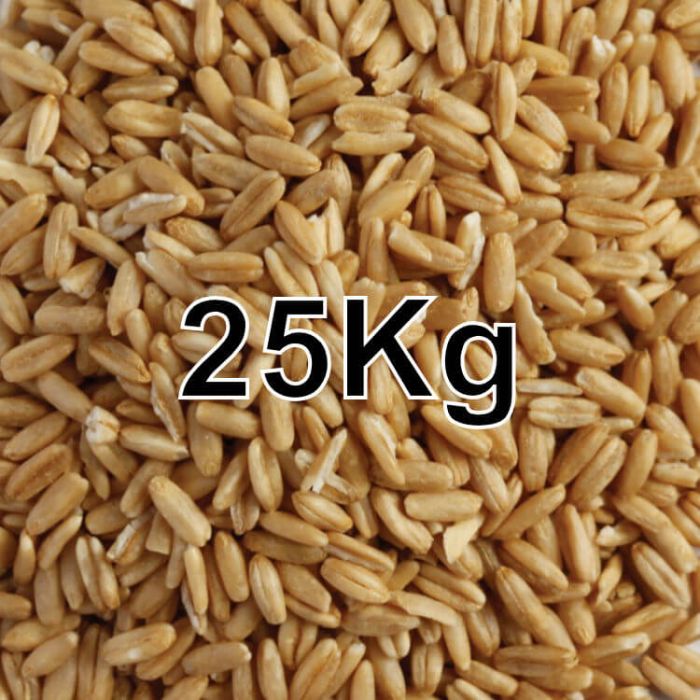 OAT GROATS 25KG