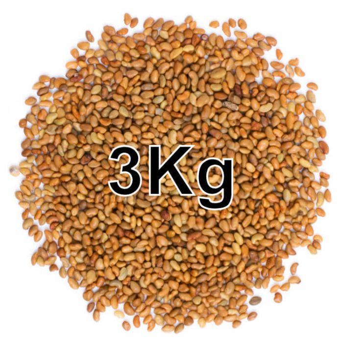 ALFALFA SEEDS 3KG