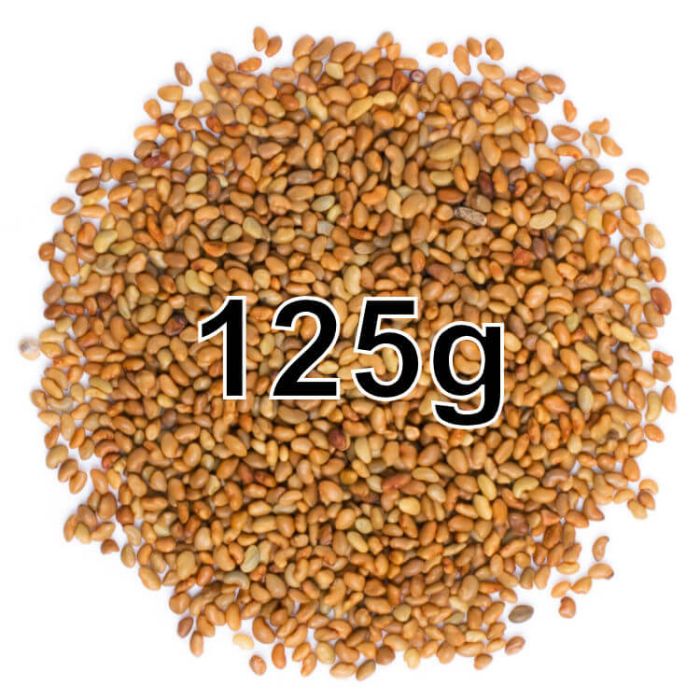 ALFALFA SEEDS 125G