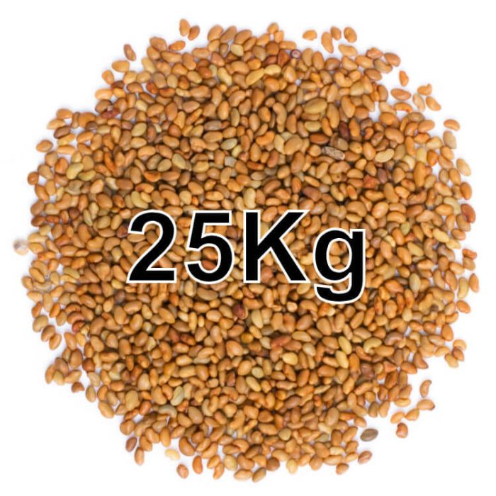 ALFALFA SEEDS 25KG