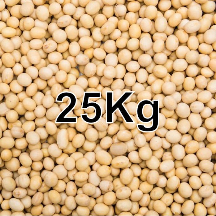 SOYA BEANS 25KG