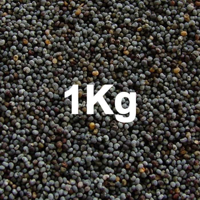 POPPY SEED BLUE  1KG