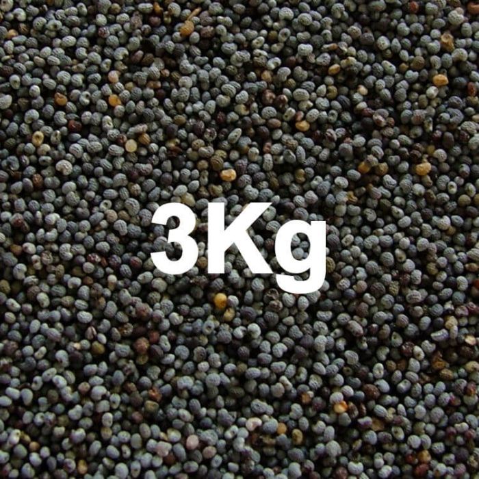 POPPY SEED BLUE  3KG