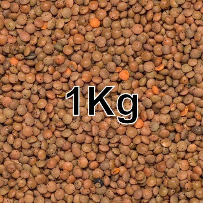 LENTILS BROWN KG