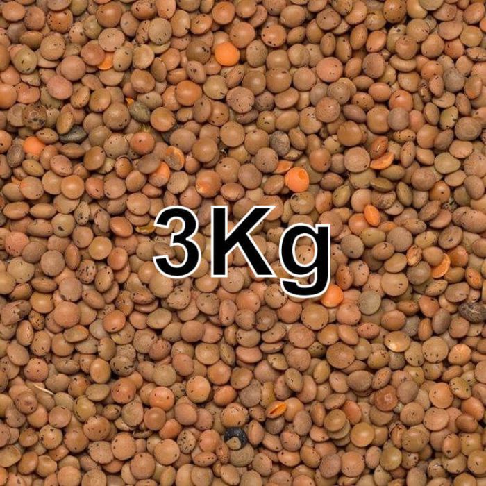 LENTILS BROWN 3KG