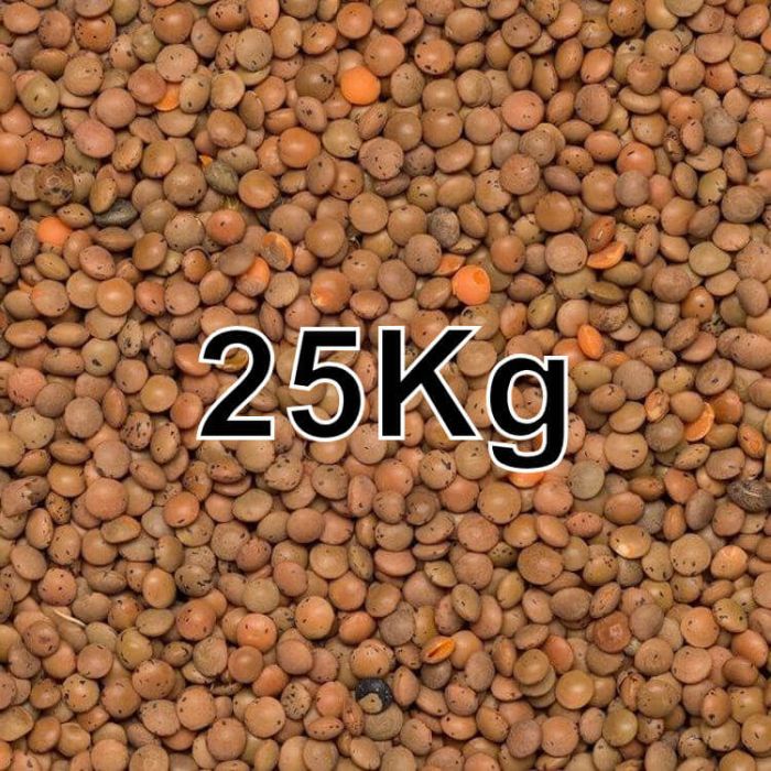 BROWN LENTILS 25KG