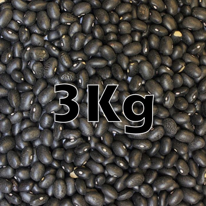 BLACK TURTLE BEANS ORG 3KG