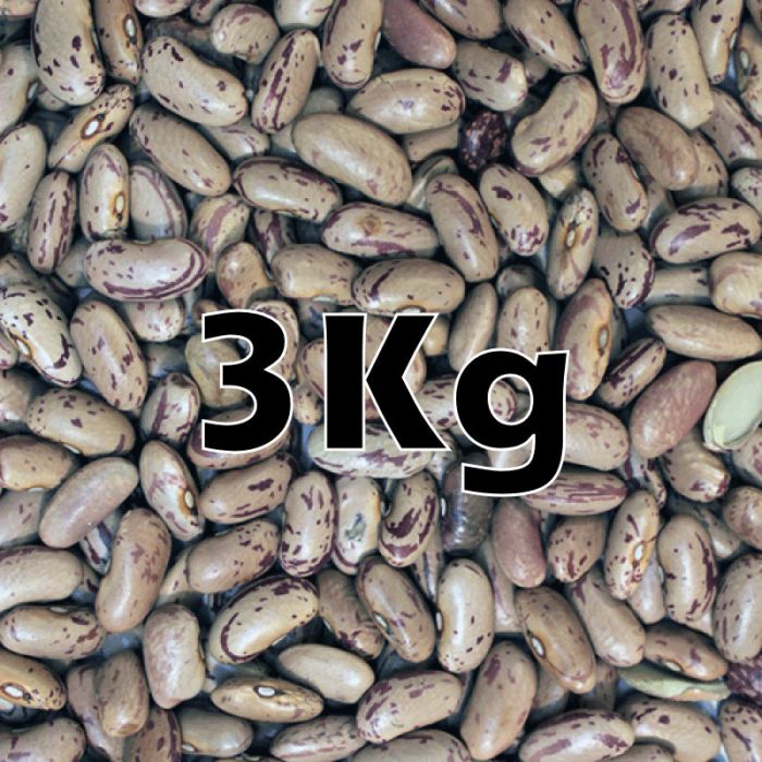 ORG PINTO BEANS  3KG