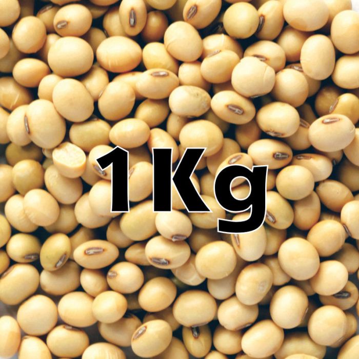 SOYA BEANS ORG  KG